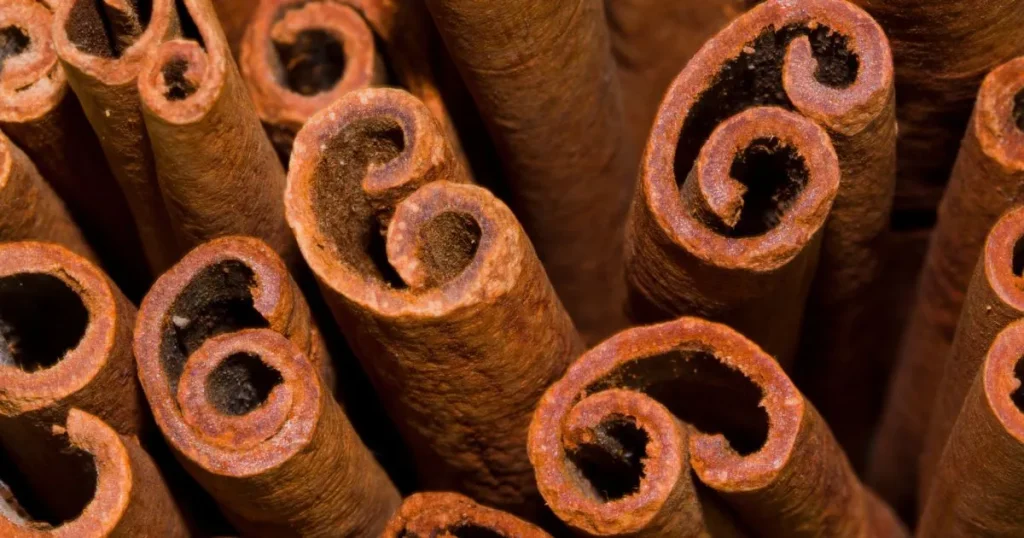 cinnamon for joint pain